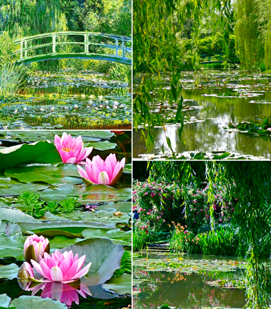 Screen shot 2015-07-29 at 2.38.04 PM