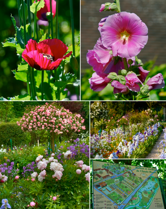 Screen shot 2015-07-30 at 3.35.22 PM