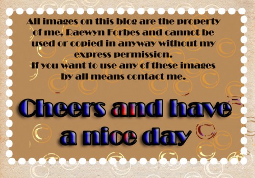 Copyright Raewyn Forbes