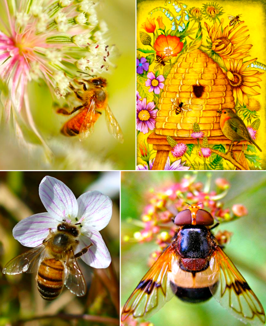 Screen shot 2015-08-06 at 7.06.29 PM