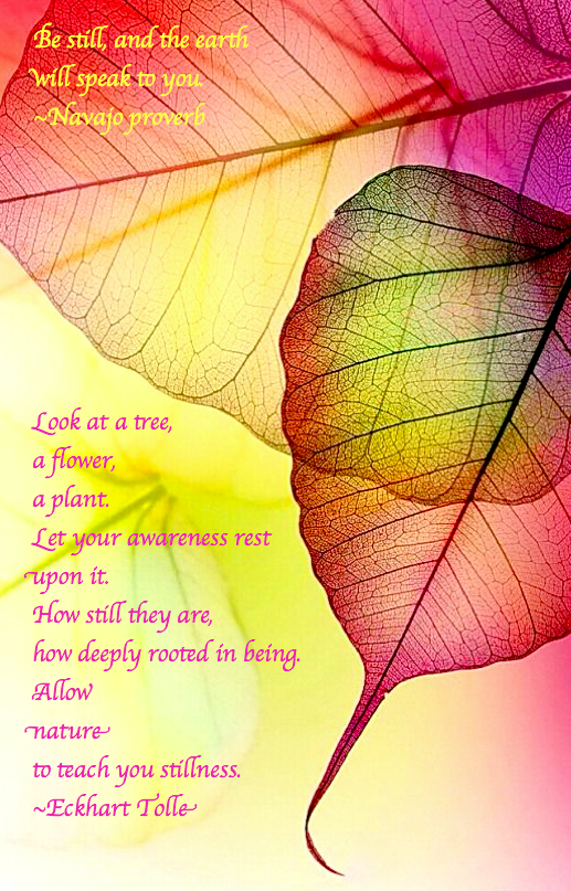 Screen shot 2015-08-09 at 2.16.18 PM