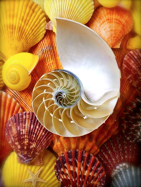 Screen shot 2015-08-10 at 3.45.54 PM