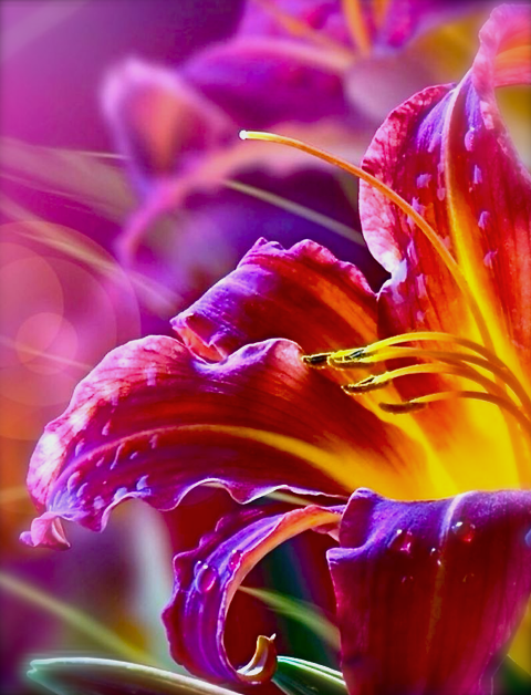 Screen shot 2015-08-10 at 3.46.47 PM