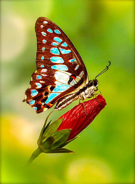 Screen shot 2015-08-10 at 3.47.24 PM