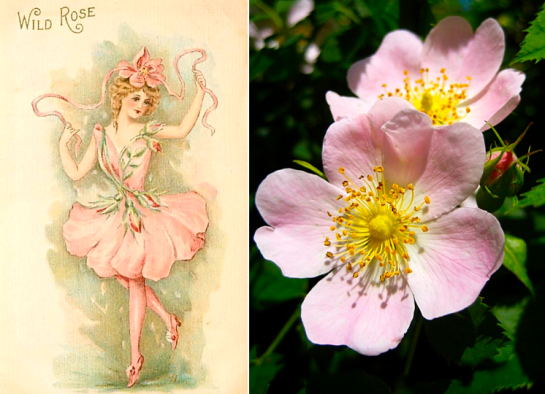 Screen shot 2015-08-12 at 12.48.09 PM