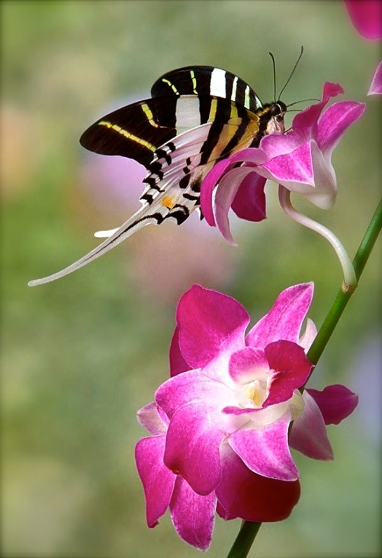 Screen shot 2015-08-15 at 2.56.57 PM