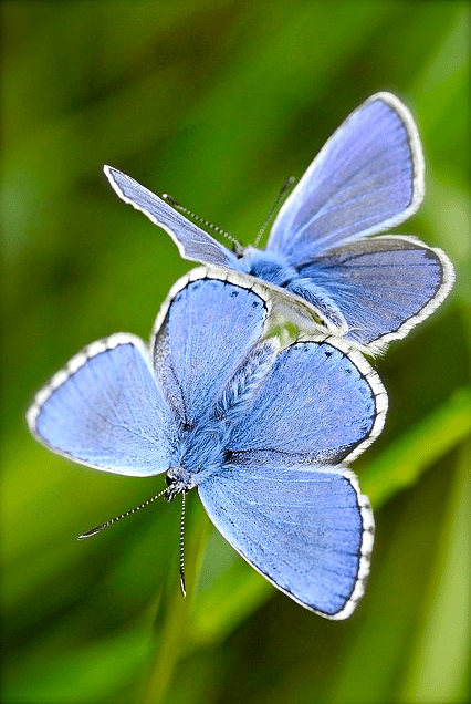 Screen shot 2015-08-15 at 3.00.09 PM