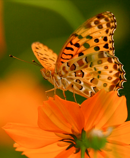 Screen shot 2015-08-15 at 3.10.35 PM