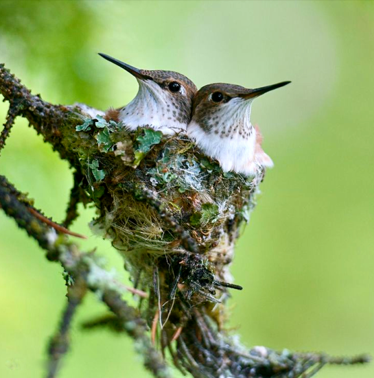 Screen shot 2015-08-21 at 1.36.30 PM