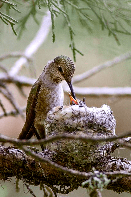 Screen shot 2015-08-21 at 1.44.57 PM