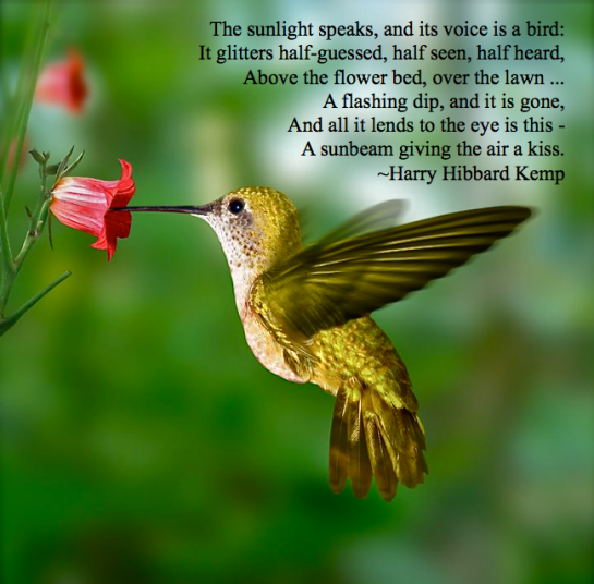 Screen shot 2015-08-21 at 4.21.20 PM