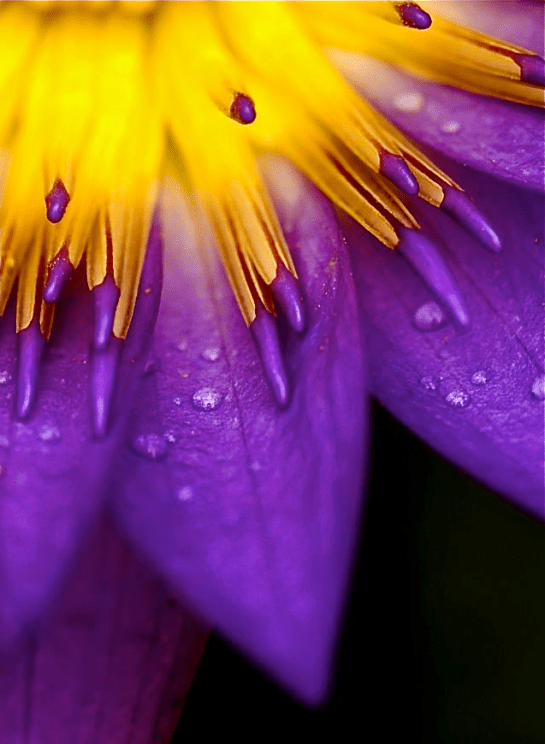 Screen shot 2015-08-27 at 3.46.36 PM