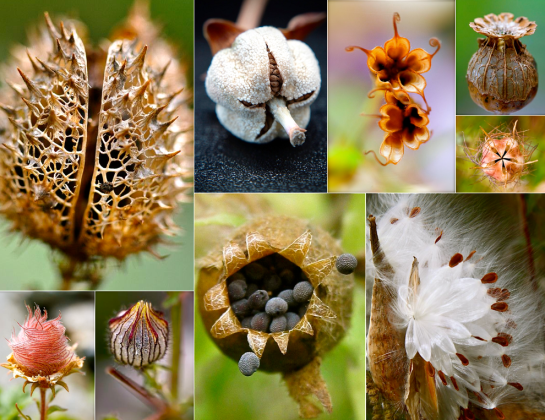 Screen shot 2015-08-28 at 7.11.49 PM