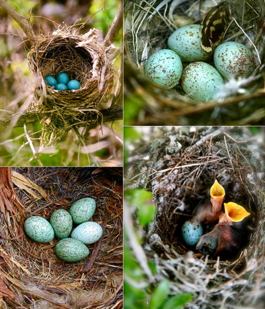 Screen shot 2015-08-28 at 7.21.03 PM