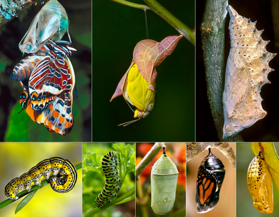 Screen shot 2015-08-28 at 8.07.24 PM