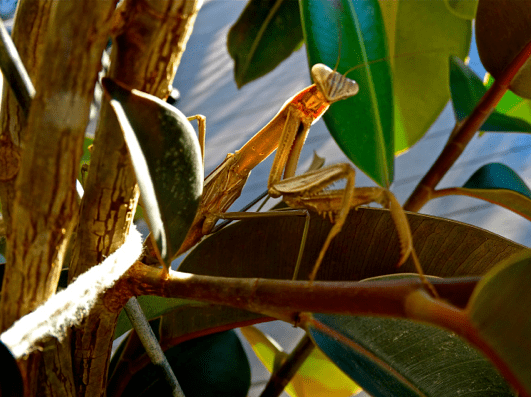 Screen shot 2015-08-29 at 1.36.49 PM