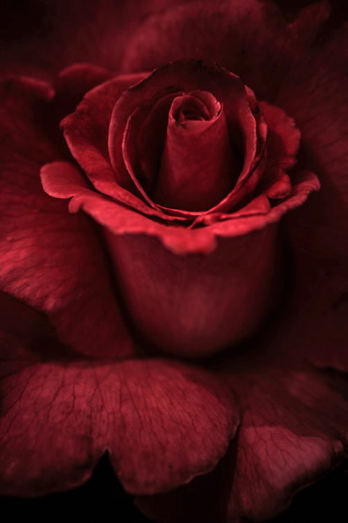 Screen shot 2015-08-29 at 1.54.49 PM