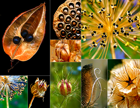 Screen shot 2015-08-29 at 3.17.52 PM