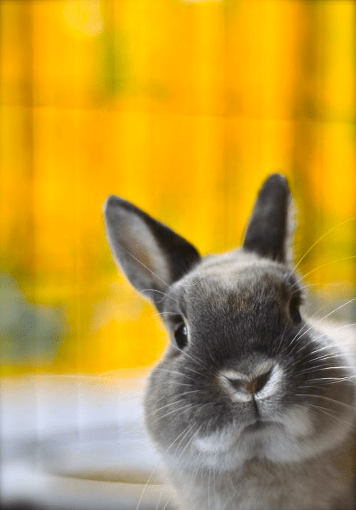 Screen shot 2014-10-07 at 8.14.36 AM