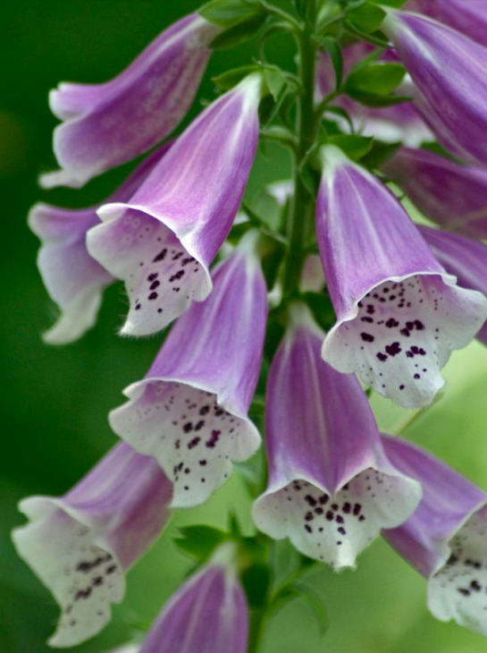 Screen shot 2015-04-09 at 5.27.40 PM