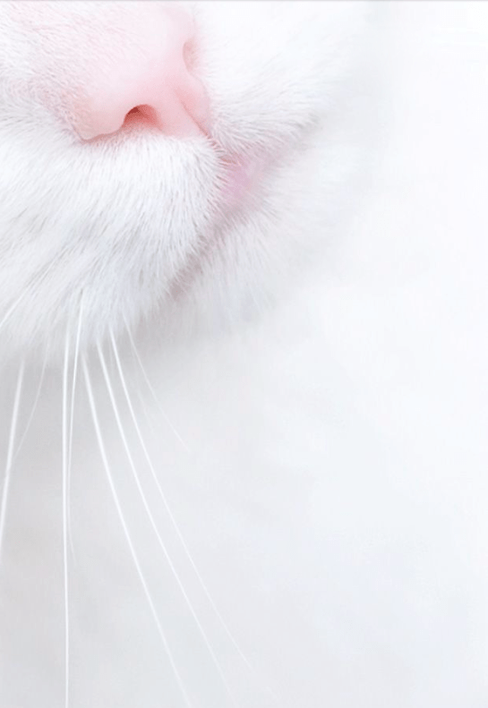 Screen shot 2015-09-05 at 2.22.17 PM