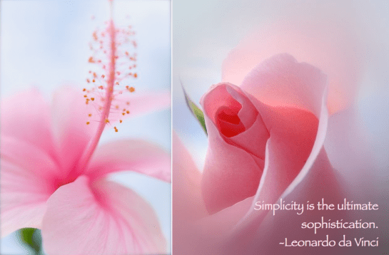 Screen shot 2015-09-05 at 4.04.27 PM