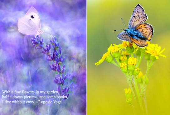 Screen shot 2015-09-05 at 4.24.22 PM