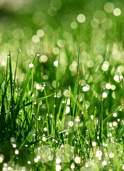 Screen shot 2015-09-07 at 3.07.24 PM