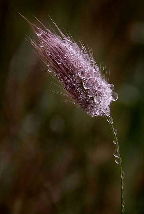 Screen shot 2015-09-07 at 3.12.27 PM