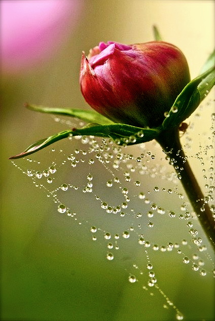 Screen shot 2015-09-07 at 3.19.06 PM