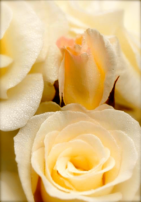 Screen shot 2015-09-07 at 3.20.01 PM