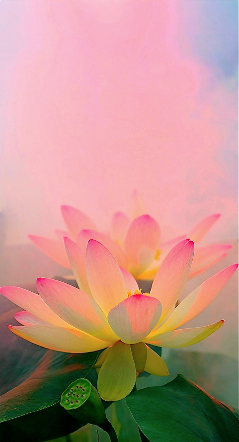 Screen shot 2015-09-08 at 3.16.40 PM