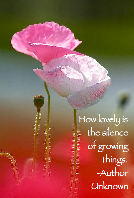 Screen shot 2015-09-08 at 4.05.49 PM