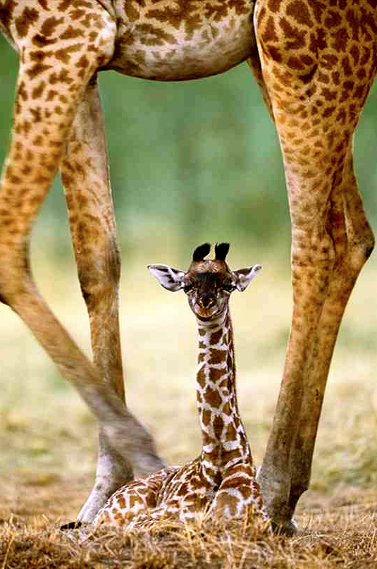 Screen shot 2015-09-09 at 3.41.30 PM