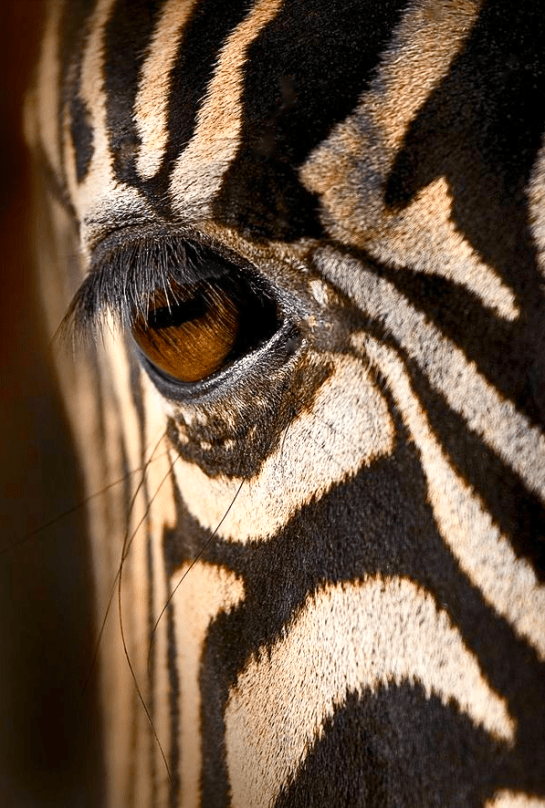 Screen shot 2015-09-09 at 3.43.20 PM