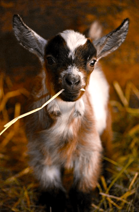 Screen shot 2015-09-09 at 3.45.23 PM