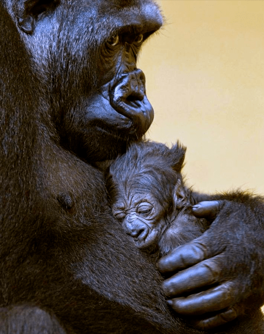 Screen shot 2015-09-09 at 4.04.10 PM