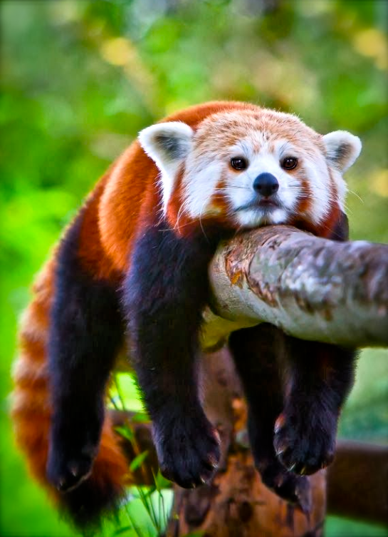 Screen shot 2015-09-09 at 4.05.01 PM