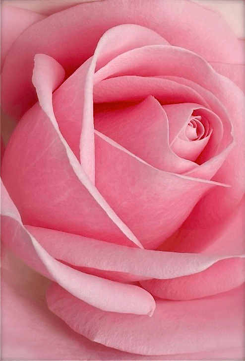 Screen shot 2015-09-12 at 3.26.16 PM