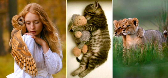 Screen shot 2015-09-13 at 4.19.17 PM