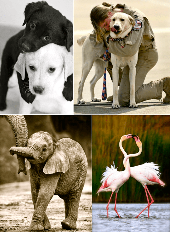 Screen shot 2015-09-13 at 4.36.40 PM