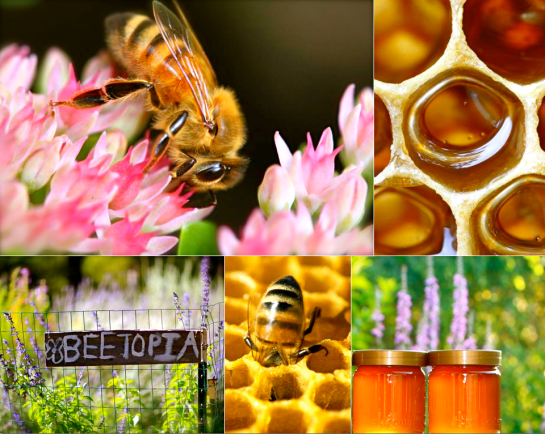 Screen shot 2015-09-14 at 8.24.54 PM