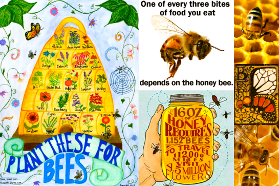 Screen shot 2015-09-14 at 8.33.22 PM