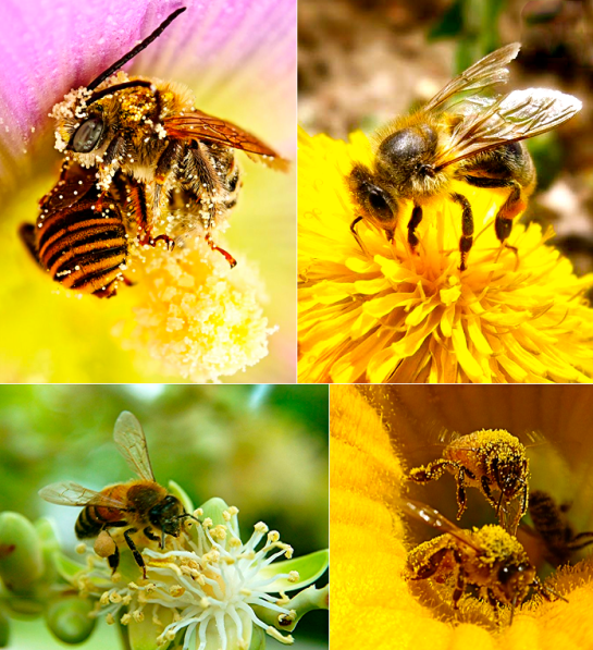 Screen shot 2015-09-14 at 8.40.02 PM