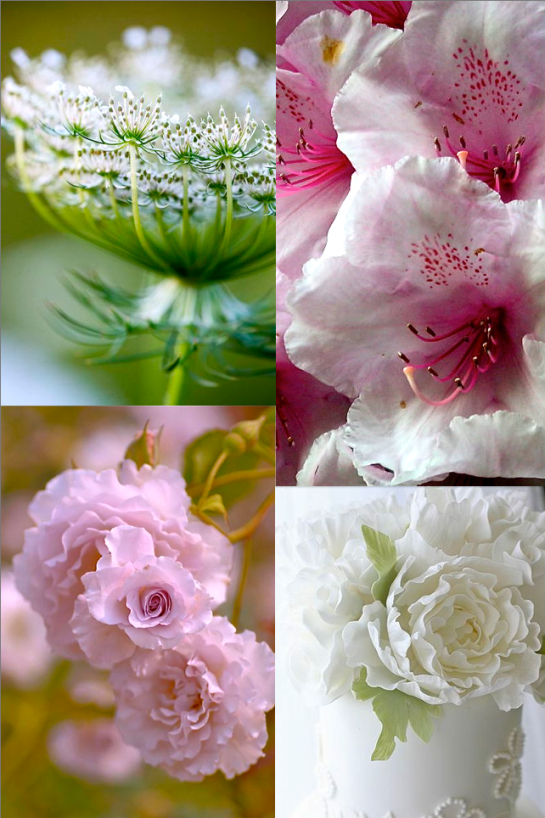 Screen shot 2015-09-16 at 2.50.32 PM