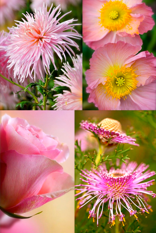 Screen shot 2015-09-16 at 2.59.35 PM