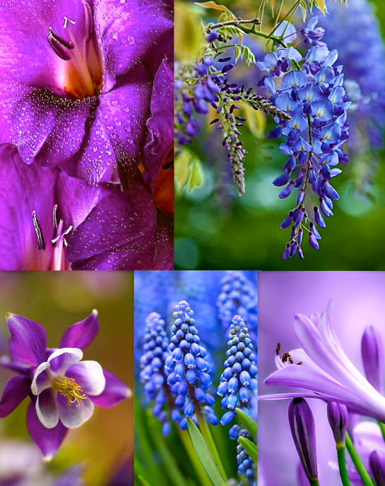 Screen shot 2015-09-16 at 3.08.15 PM