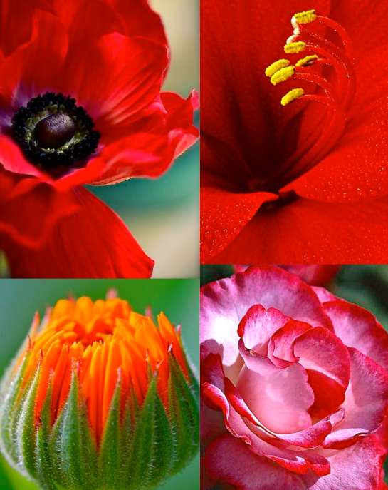 Screen shot 2015-09-16 at 3.15.45 PM