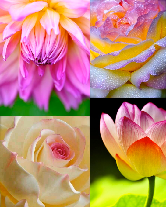 Screen shot 2015-09-16 at 3.21.39 PM