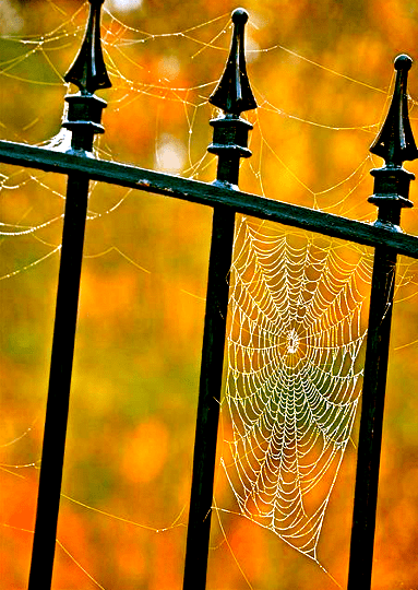 Screen shot 2015-09-17 at 4.35.22 PM